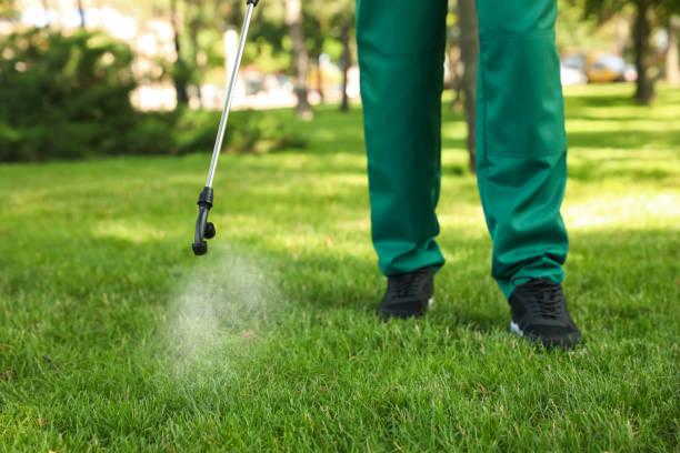 Best Pest Inspection Near Me  in Jeffersonville, OH