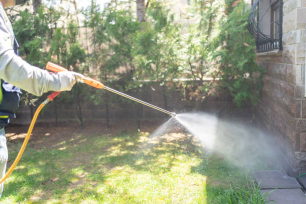 Best Rat Extermination Near Me  in Jeffersonville, OH