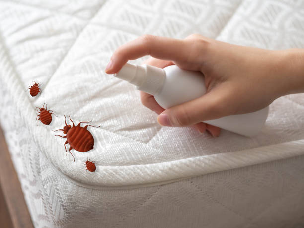 Best Pest Prevention Services  in Jeffersonville, OH