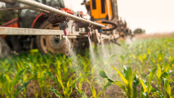 Best Pest Control for Businesses  in Jeffersonville, OH