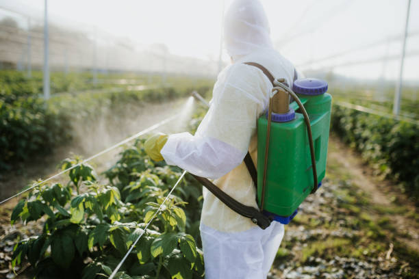 Best Commercial Pest Control Services  in Jeffersonville, OH